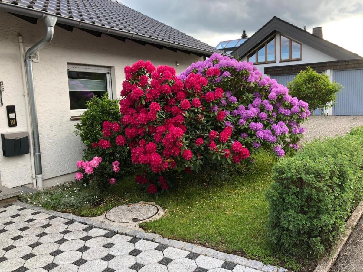 Appartement Schwarzwaldhirsch à Unterkirnach Extérieur photo