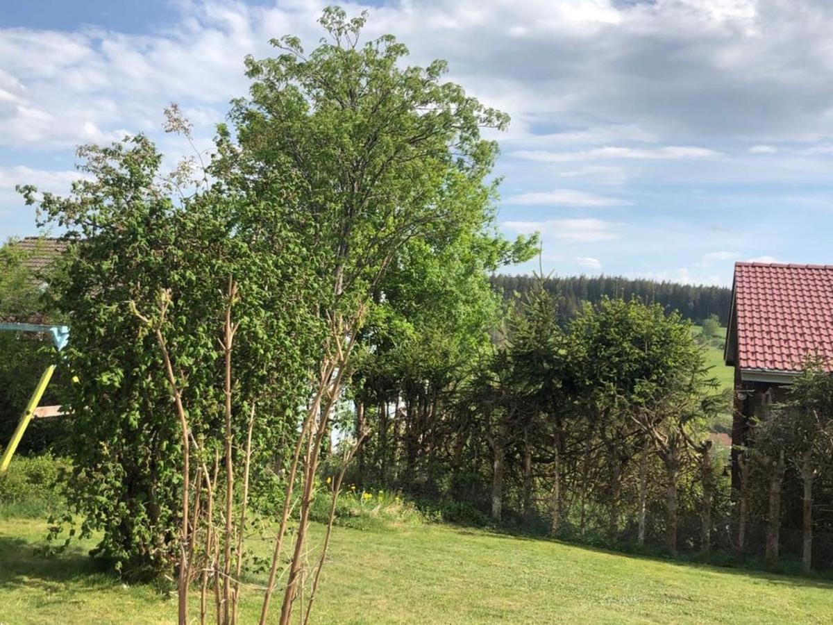 Appartement Schwarzwaldhirsch à Unterkirnach Extérieur photo